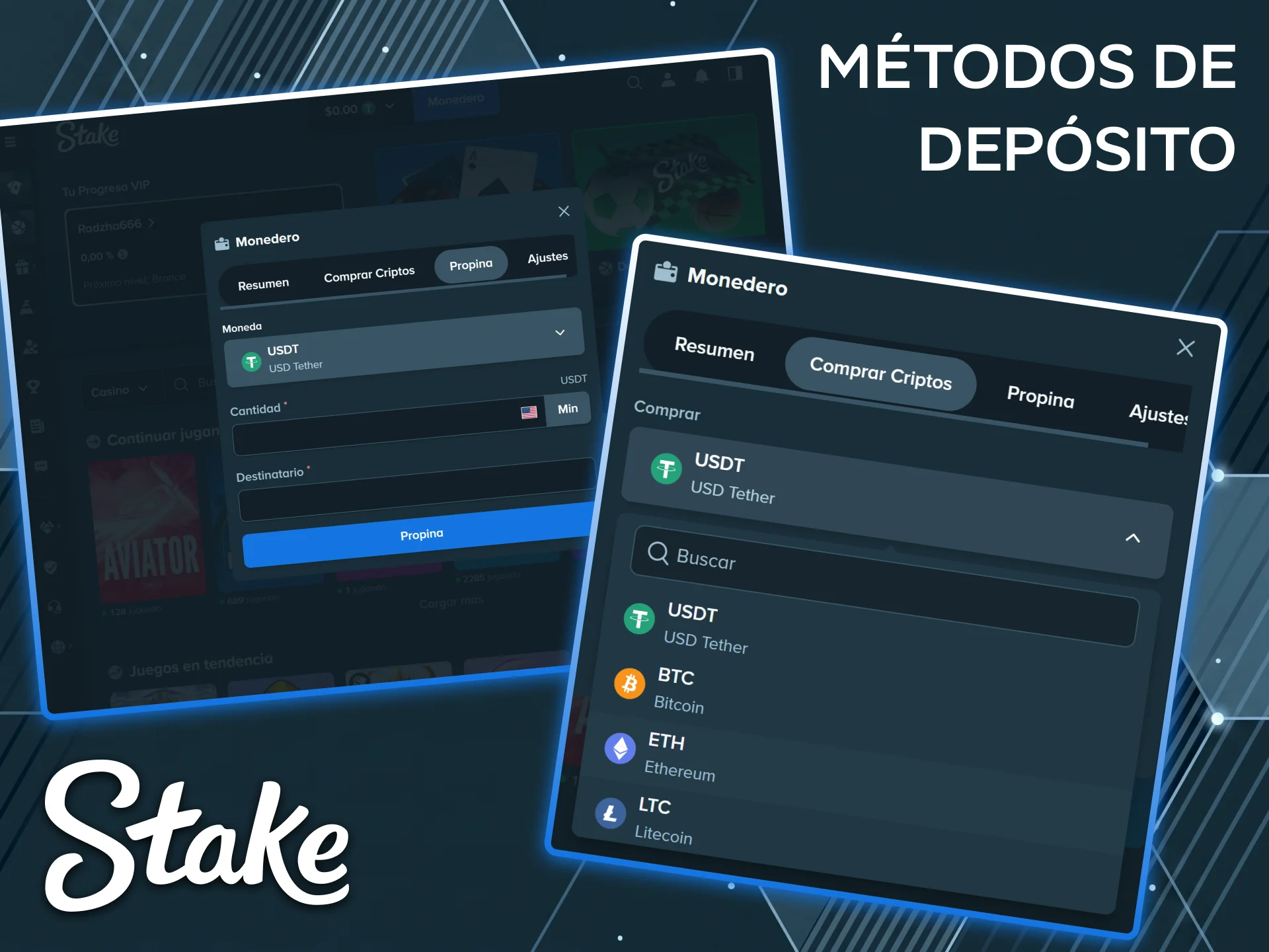 Descubre los diversos y modernos métodos de pago que ofrece la plataforma Stake.