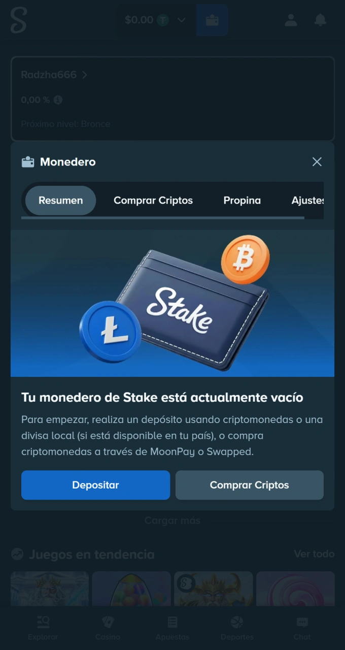 Recarga tu billetera de forma rápida y segura antes de jugar a Mines en Stake.