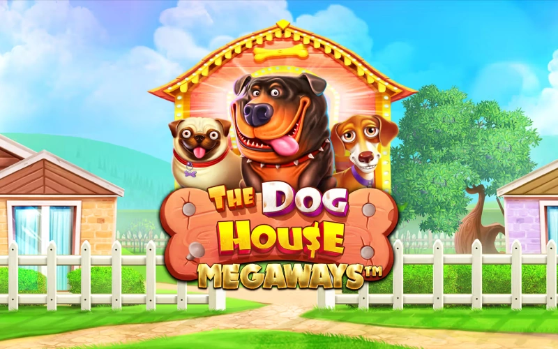 Consigue grandes combinaciones ganadoras jugando a The Dog House Megaways en Stake casino.